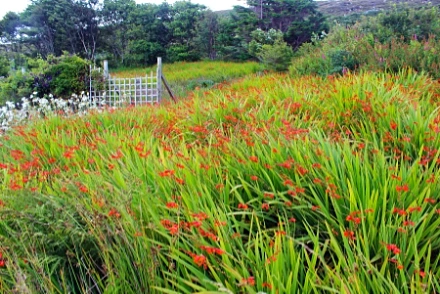The colourful secluded garden
