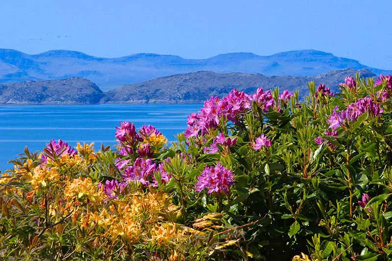 View of Skye and Rona from Airdaniar's garden